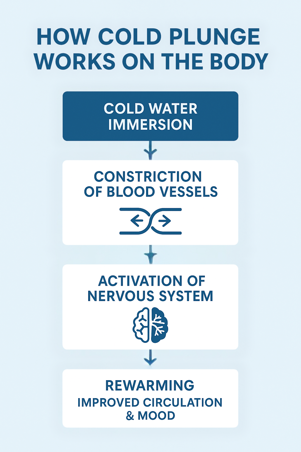 Flowchart infographic titled "How Cold Plunge Works on the Body," showing the body's response stages.