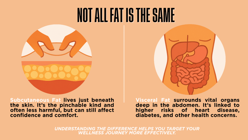 Illustration comparing subcutaneous and visceral fat, showing pinchable fat under the skin on the left and visceral fat surrounding organs on the right.