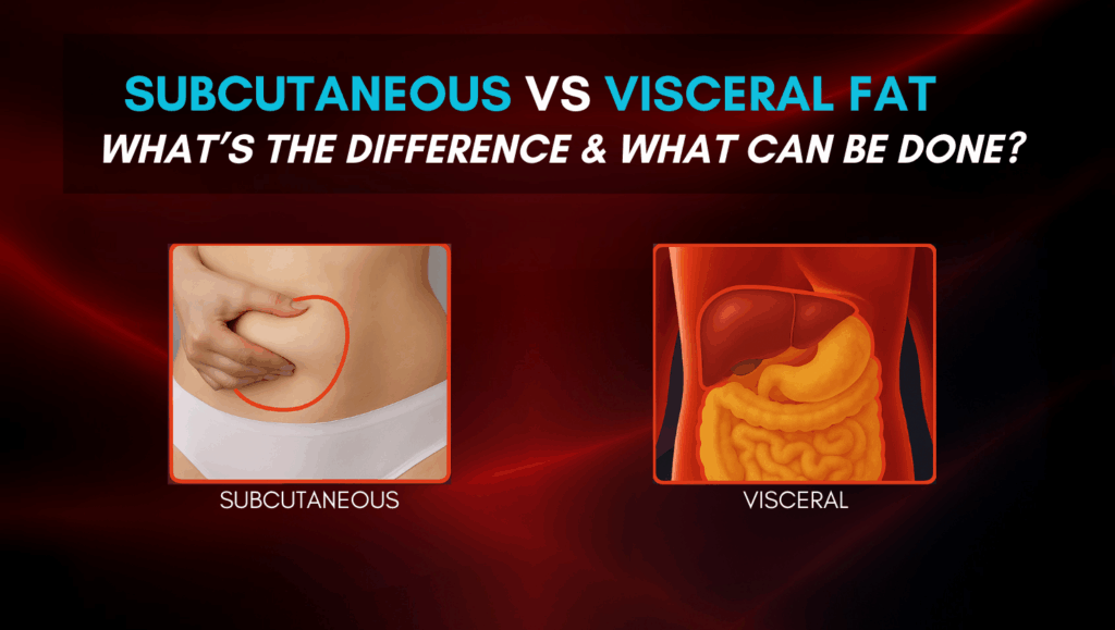 What Is Subcutaneous Fat
