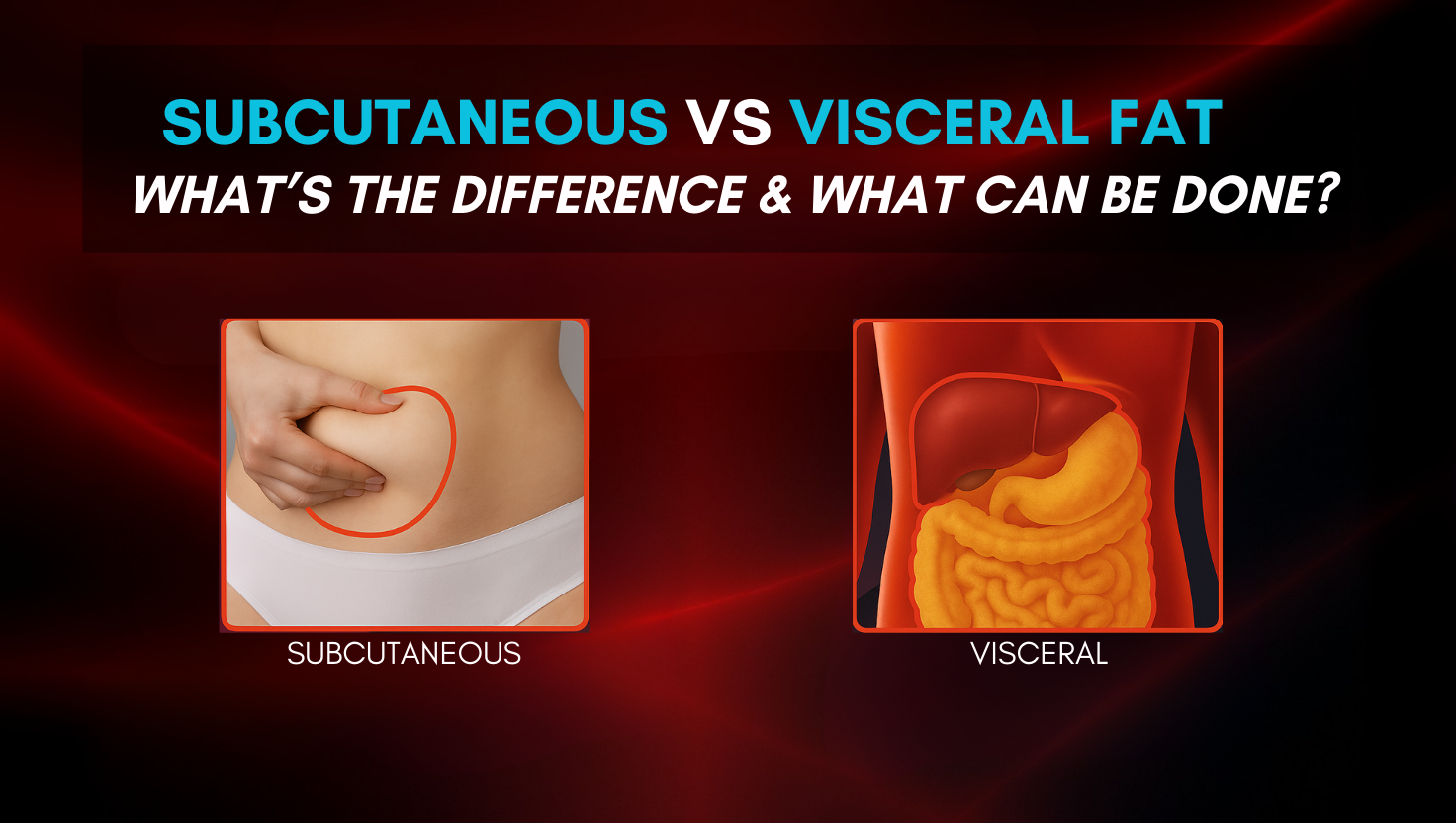 What Is Subcutaneous Fat