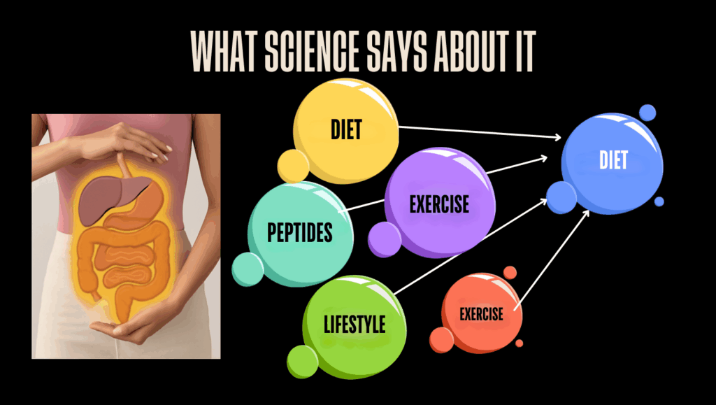Infographic titled “What Science Says About It,” showing the digestive system and key factors in fat reduction: diet, exercise, peptides, and lifestyle.