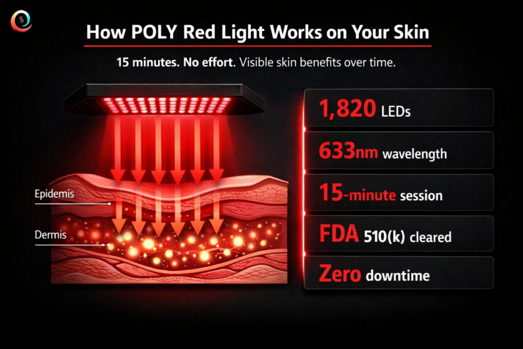 POLY Red Light Therapy 633nm skin layer penetration diagram showing FDA 510k cleared 1820 LED treatment for collagen stimulation at Body Lab Studio Myrtle Beach