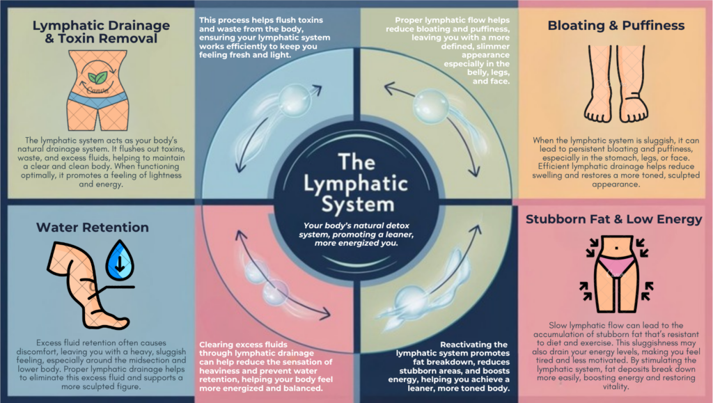 Lymphatic drainage and body sculpting infographic showing how the lymphatic system reduces bloating, water retention, toxins, and stubborn fat for a leaner body |