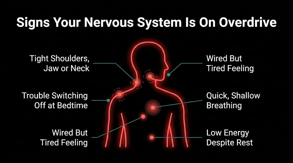 An infographic on a black background titled "Signs Your Nervous System Is On Overdrive." It features a glowing red outline of a human upper body silhouette with teal pointer lines highlighting five symptoms: tight shoulders, jaw or neck; trouble switching off at bedtime; a wired but tired feeling; quick, shallow breathing; and low energy despite rest.