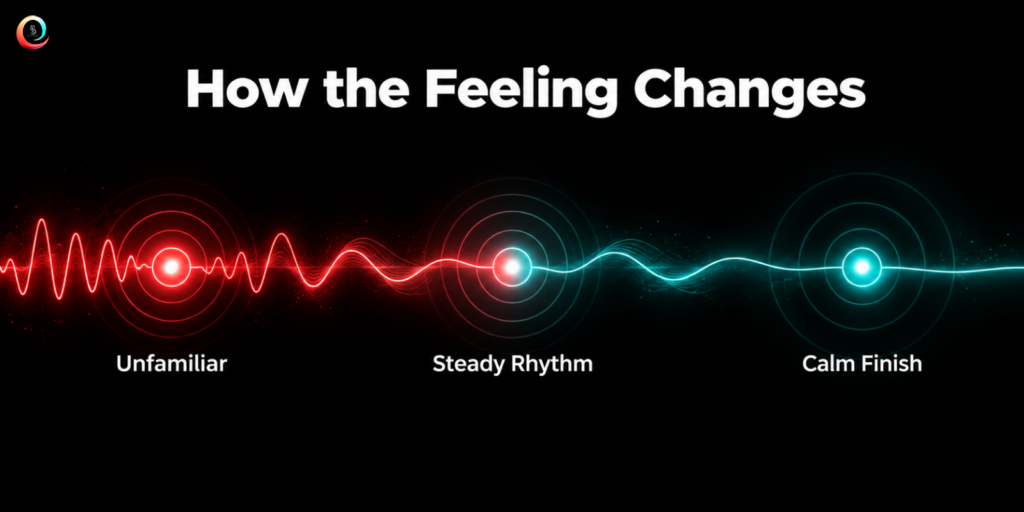 What the EMS + RF Session Feels Like